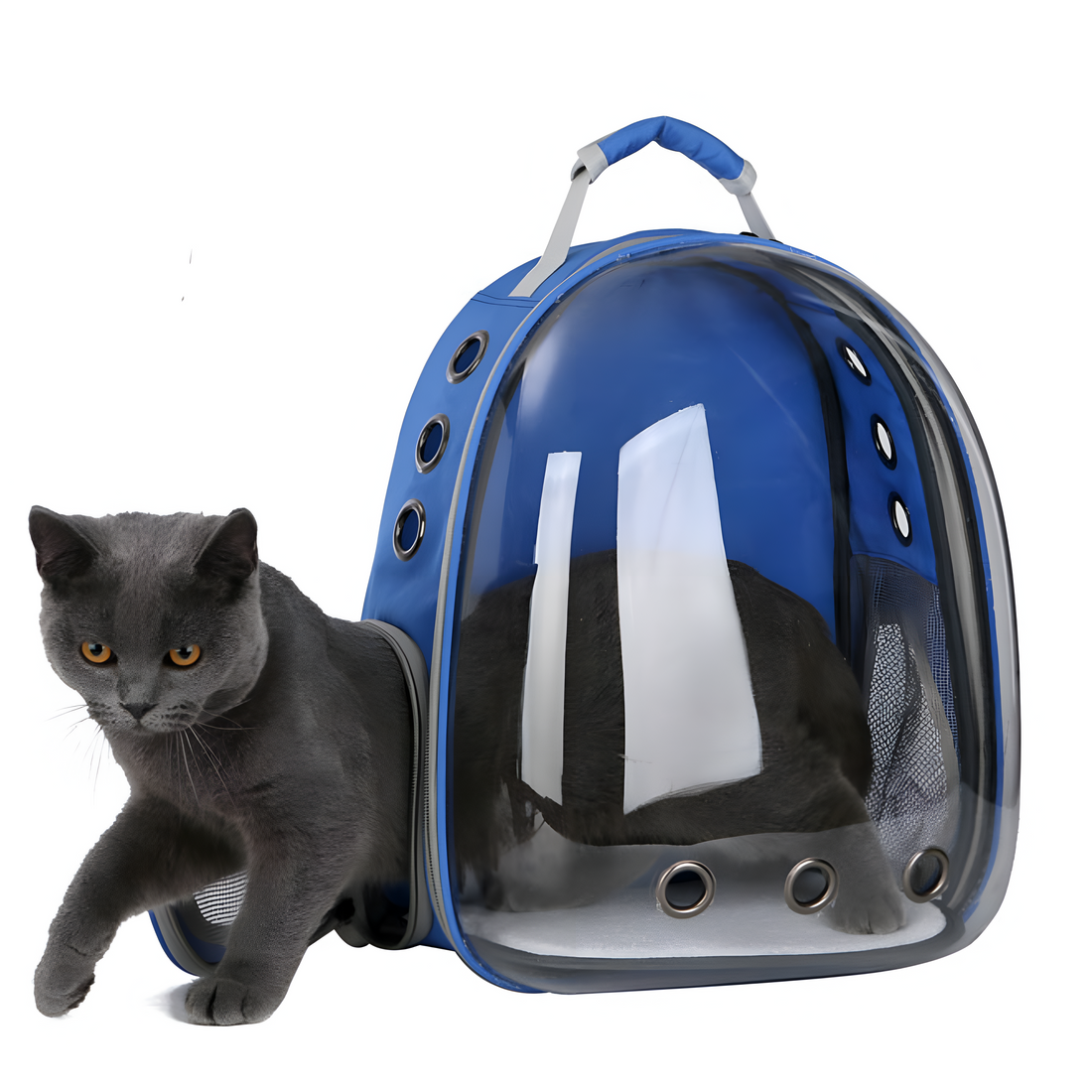Transparenter Raumkapsel-Haustier-Rucksack – Atmungsaktiv & robust für Katzen und kleine Hunde - Katzentasche